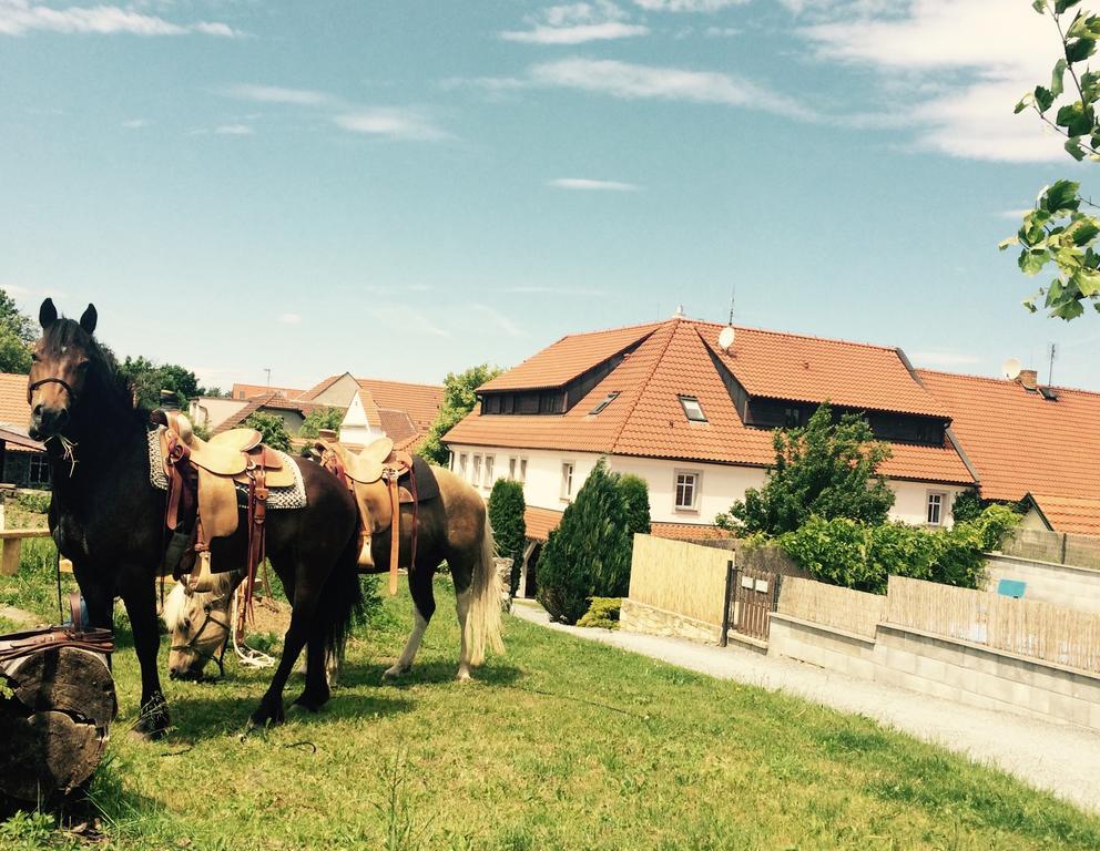 Penzion V Polich Male Cicovice Exterior photo
