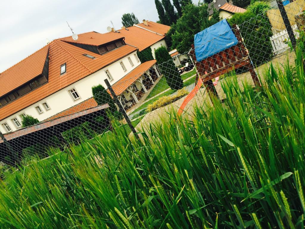 Penzion V Polich Male Cicovice Exterior photo